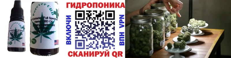 Canna-Cookies марихуана  Купить  Няндома