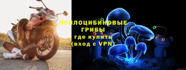 стафф Гусь-Хрустальный