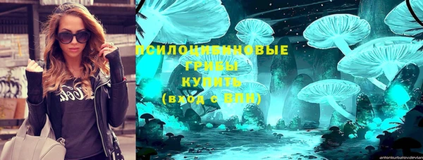 стафф Гусь-Хрустальный