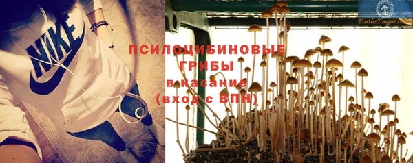 мдпв Гусиноозёрск