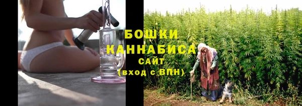 мдпв Гусиноозёрск